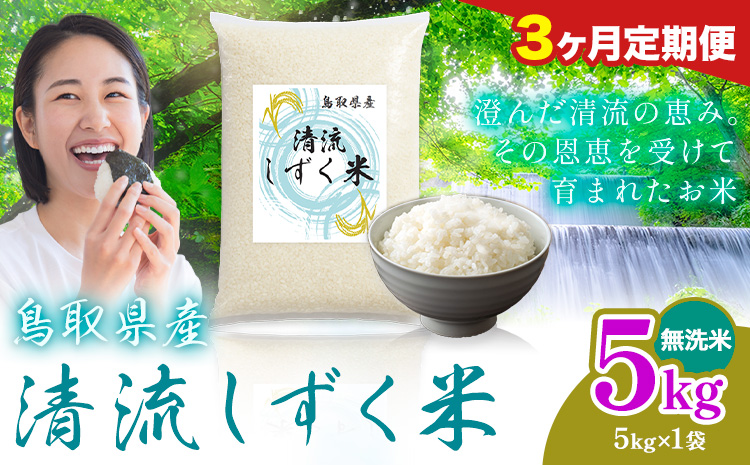 【3ヶ月定期便】鳥取 ふるさと 無洗米 5kg  清流しずく米《お申し込み月の翌月から出荷開始》鳥取県 八頭町 米 お米 ご飯 八頭 ふるさと無洗米 生活応援 ブレンド米 複数原料米 訳あり 小分け kome ご飯
