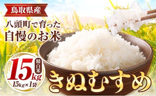 鳥取県産 きぬむすめ15kg 精白米 15kg×1袋 フォレスト姫宮《90日以内に発送予定(土日祝除く)》鳥取県 八頭町 米 お米 白米 ご飯