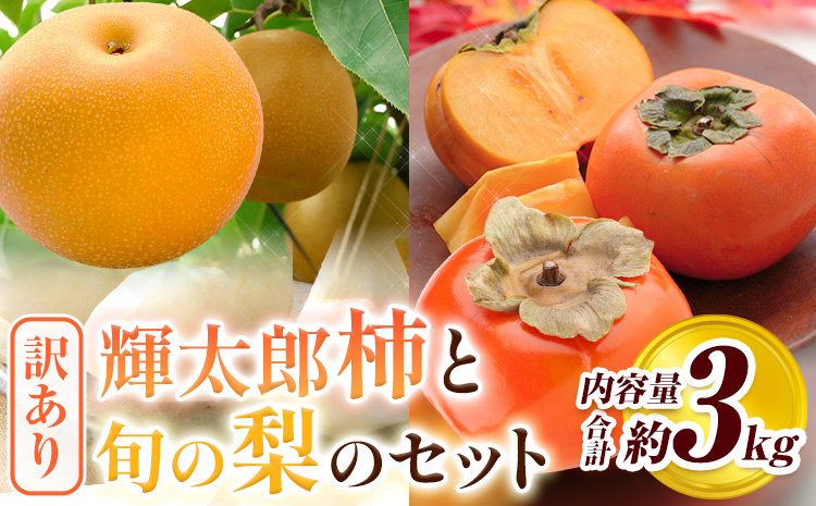 【先行予約】訳あり かき 柿 梨 なし 輝太郎柿と旬の梨セット 秀品 約3kg《10月上旬‐10月末頃出荷》 鳥取県 八頭町 果物 くだもの フルーツ セット 高間商店 送料無料