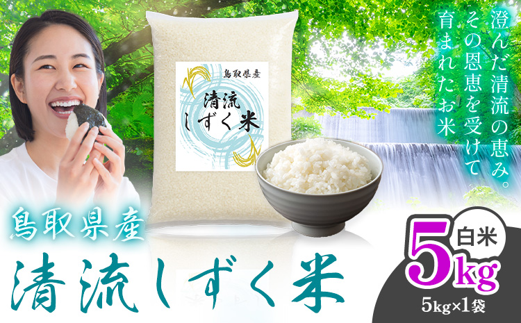 【速攻出荷！】鳥取 ふるさと 白米 5kg 清流しずく米《7-14営業日以内に出荷(土日祝除く)》鳥取県 八頭町 米 お米 ご飯 八頭 ふるさと無洗米 生活応援 ブレンド米 複数原料米 訳あり 小分け kome ご飯