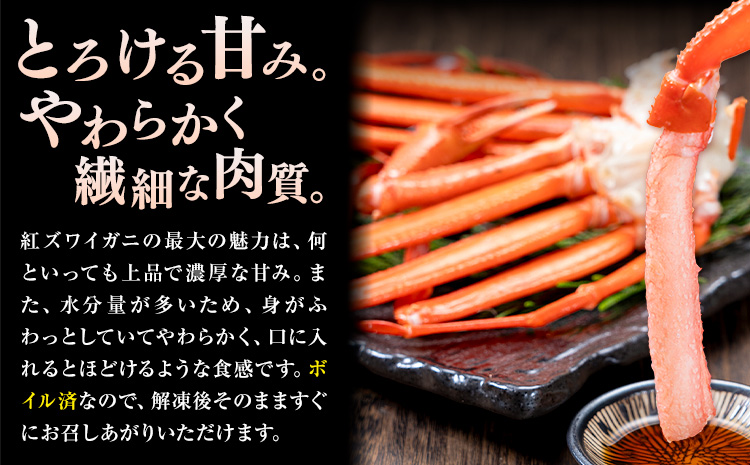 訳あり カニ 紅ズワイガニ （セクション） ボイル済み お試し 約1kg (1-2人前) 《30日以内に出荷予定(土日祝除く)》鳥取県 八頭町 送料無料 蟹 かに わけあり ベニズワイガニ ズワイ蟹 海産物 ボイル お取り寄せグルメ