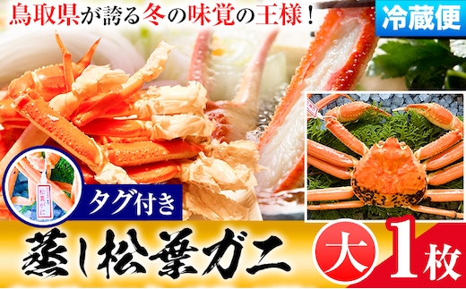 【先行予約】【蒸し】タグ付き松葉ガニ 大1枚(800〜940g) 高間商店《11月中旬-3月下旬頃出荷》鳥取県 八頭町 送料無料 カニ 蟹 松葉ガニ タグ付き ブランド