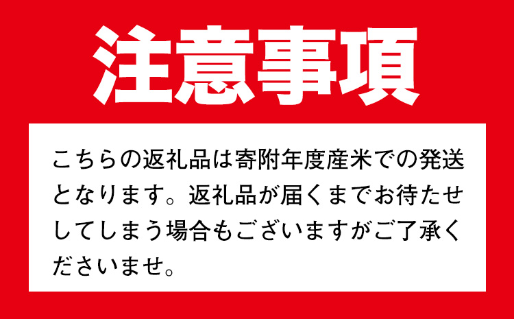 鳥取県産 きぬむすめ15kg 精白米 15kg×1袋 フォレスト姫宮《90日以内に発送予定(土日祝除く)》鳥取県 八頭町 米 お米 白米 ご飯