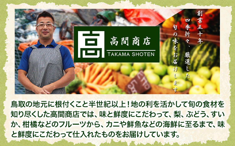 【先行予約 】訳あり なし 梨 新甘泉 約3kg (4~10玉) 高間商店《2025年8月下旬-10月上旬頃出荷》 鳥取県 八頭町 梨 なし ナシ 果物 フルーツ ご家庭用 訳あり 先行予約 送料無料 甘い 果実 果汁 デザート 新甘泉梨 赤梨