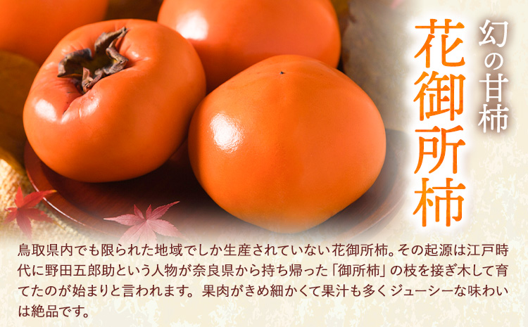 ご家庭用 柿 八頭町が誇る 日本随一の 甘柿 花御所柿 約2kg Tottori食のまごころ農園 《12月上旬-12月下旬頃出荷》鳥取県 八頭町 柿 かき カキ 花御所柿 甘柿 果物 フルーツ 訳あり