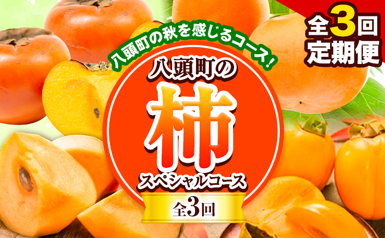 【先行予約】【全3回定期便】八頭の柿スペシャルコース 赤秀 青秀 特秀 《2026年10月上旬-12月下旬頃出荷》JA鳥取いなば 鳥取県 八頭町 柿 かき 果物 フルーツ 定期便 頒布会 輝太郎柿 西条柿 こおげ花御所柿