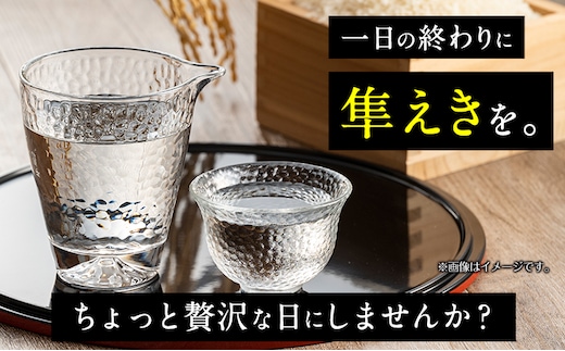 日本酒 鳥取県産純米吟醸酒「隼えき」２本セット 株式会社北岡本店《90日以内に出荷予定(土日祝除く)》鳥取県 八頭町 純米吟醸酒 酒 送料無料