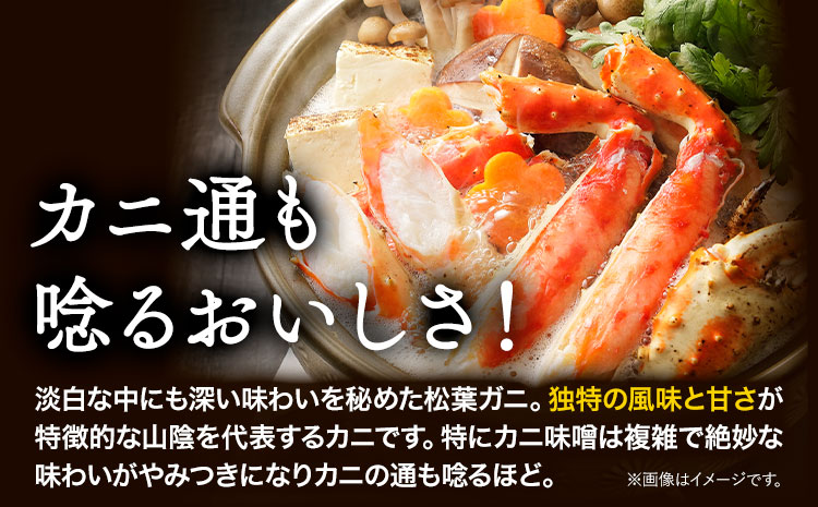 蒸し タグ付き 松葉ガニ カニ 500g 1杯 さんチョク《11月中旬から4月上旬頃出荷》鳥取県 八頭町 送料無料 蟹 かに 鍋 ズワイガニ ズワイ蟹 ボイル 冷蔵