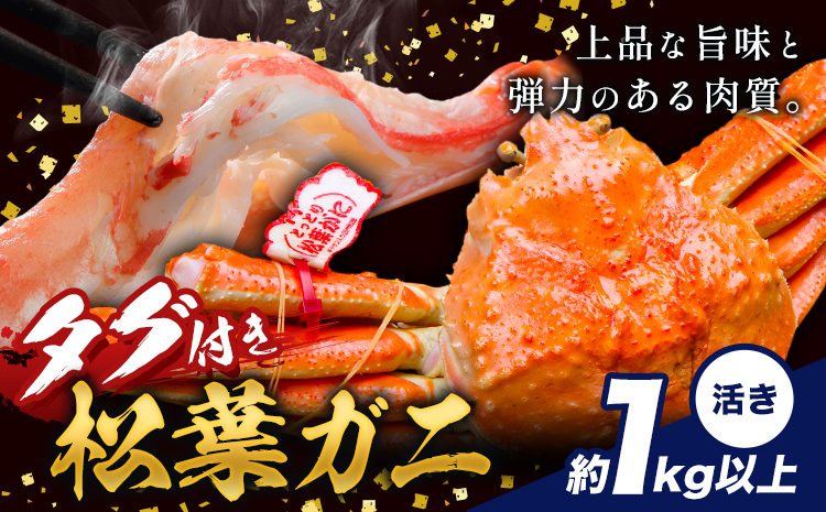 かに タグ付き 松葉ガニ 約1kg 以上 活き 《2024年11月上旬-2025年4月中旬頃出荷》お魚センターみくりや 鳥取県 八頭町 蟹 かに カニ 鍋 松葉ガニ 活き 送料無料