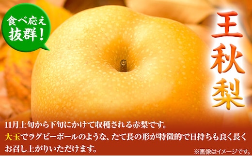 【先行予約】王秋梨 赤秀 約5kg (5~8玉) JA鳥取いなば《10月下旬-11月中旬頃出荷》鳥取県 八頭町 梨 なし ナシ 果物 フルーツ  ふるさと納税 送料無料 王秋梨 果実 果汁 常温便st-p
