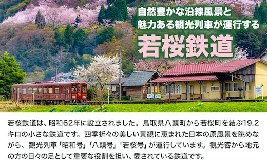 鉄道模型 若桜鉄道WT3000形2両セット 若桜鉄道運行対策室《30日以内に出荷予定(土日祝除く)》鳥取県 八頭町 鉄道 模型