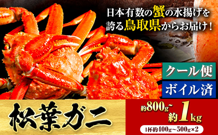 カニ 松葉ガニ 800g~1kg《2024年11月中旬-2025年3月中旬頃出荷》鳥取県 八頭町 送料無料 蟹 かに 姿 鍋 ズワイガニ 松葉ガニ ズワイ蟹 ボイル 冷蔵便 松葉蟹 海鮮 魚介【配送不可地域あり】