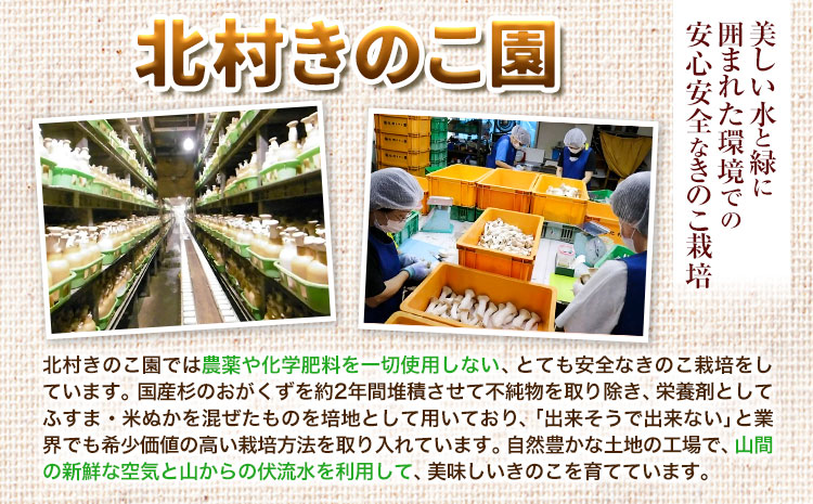 きのこ 八頭町産きのこのバラエティーセット《90日以内に出荷予定(土日祝除く)》 北村きのこ園 鳥取県 八頭町 エノキ えのき茸 エリンギ エリンギィ 佃煮 おつまみ セット 送料無料 