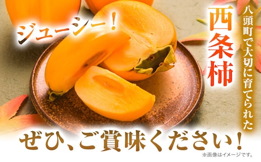 西条柿 2.5kg 個包装 (12玉〜14玉) JA鳥取いなば《10月下旬-11月下旬頃出荷》渋抜き 2L〜3L 柿 かき カキ フルーツ 果物 くだもの 青果物 特秀 鳥取県 八頭町st-p