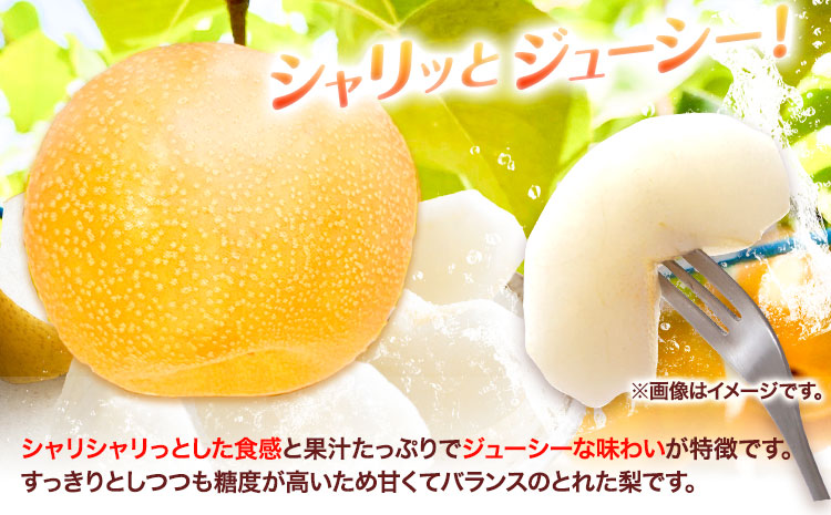 【先行予約】新甘泉 赤秀 約5kg JA鳥取いなば《8月下旬-9月上旬頃出荷》鳥取県 八頭町 梨 なし 果物 しんかんせん フルーツ ふるさと納税 送料無料 果実 果汁 常温便