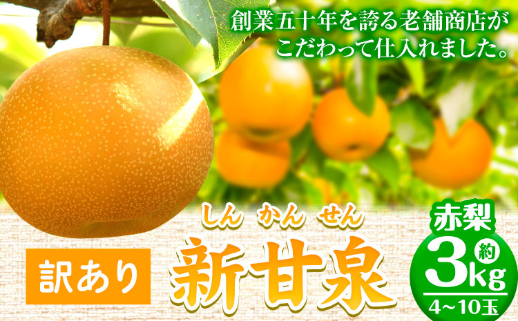 【先行予約 】訳あり なし 梨 新甘泉 約3kg (4~10玉) 高間商店《2025年8月下旬-10月上旬頃出荷》 鳥取県 八頭町 梨 なし ナシ 果物 フルーツ ご家庭用 訳あり 先行予約 送料無料 甘い 果実 果汁 デザート 新甘泉梨 赤梨