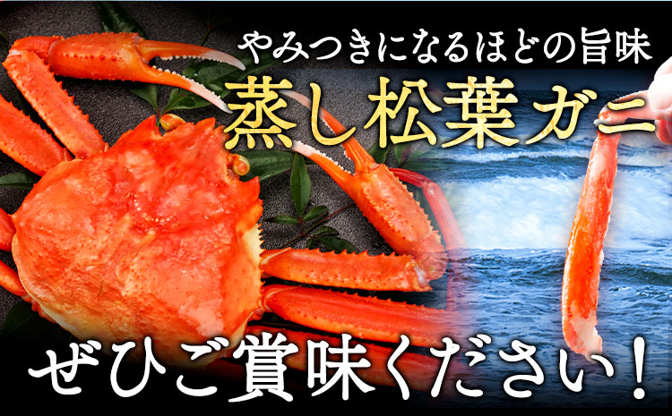 蒸し 訳あり 松葉ガニ カニ 1kg 1杯 さんチョク《11月中旬から4月上旬頃出荷》鳥取県 八頭町 送料無料 蟹 かに 鍋 ズワイガニ ズワイ蟹 ボイル 冷蔵