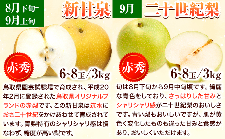 【先行予約】【全4回定期便】八頭の梨スペシャルコース 定期便 《8月下旬-11月末頃出荷》JA鳥取いなば 鳥取県 八頭町 梨 なし 果物 フルーツ 定期便 頒布会 新甘泉 二十世紀梨 新興梨 王秋梨