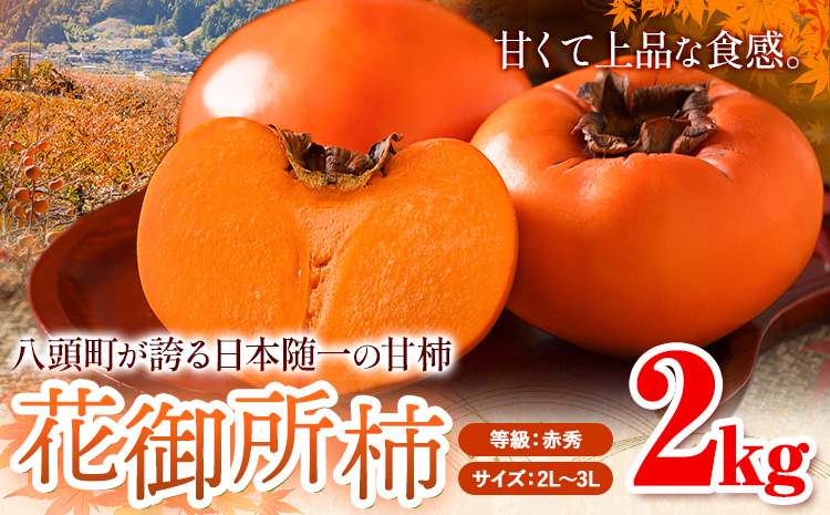 柿 八頭町が誇る 日本随一の 甘柿 花御所柿 贈答用 2kg Tottori食のまごころ農園 [12月上旬-12月下旬頃出荷]鳥取県 八頭町 柿 かき カキ 花御所柿 甘柿 果物 フルーツst-p
