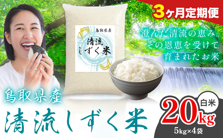 【3ヶ月定期便】鳥取 ふるさと 白米 20kg  清流しずく米《お申し込み月の翌月から出荷開始》鳥取県 八頭町 米 お米 ご飯 八頭 ふるさと無洗米 生活応援 ブレンド米 複数原料米 訳あり 小分け kome ご飯