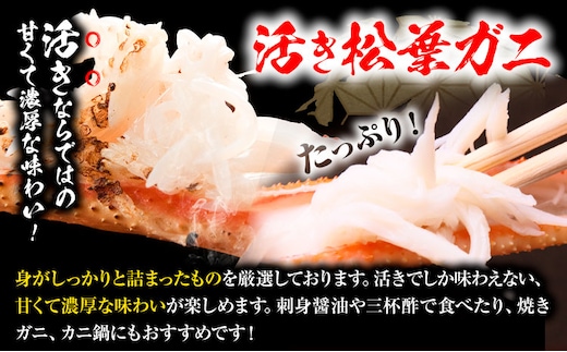 【先行予約】【活き】タグ付き松葉ガニ 大1枚(800〜940g) 高間商店《11月中旬-3月下旬頃出荷》鳥取県 八頭町 送料無料 カニ 蟹 松葉ガニ タグ付き ブランド