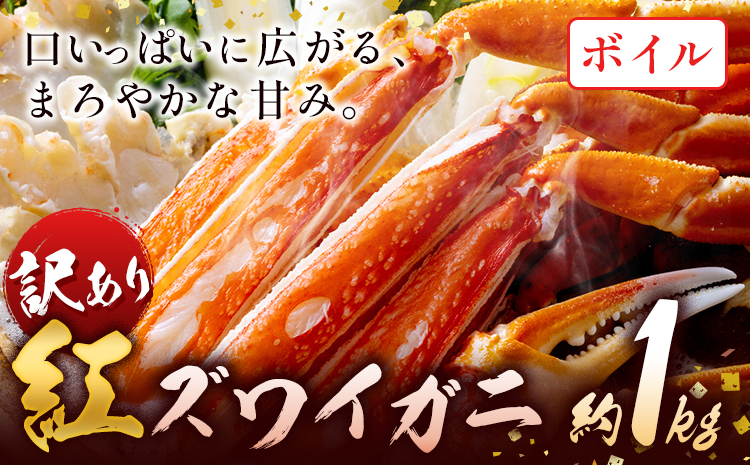 かに 姿 訳あり 紅ズワイガニ 1kg ボイル済み冷蔵《2024年11月上旬-2025年4月中旬頃出荷》お魚センターみくりや 鳥取県 八頭町 蟹 かに カニ 鍋 紅ズワイガニ ズワイ蟹 ボイル 送料無料