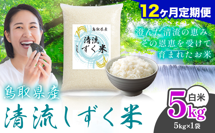 【12ヶ月定期便】鳥取 ふるさと 白米 5kg  清流しずく米《お申し込み月の翌月から出荷開始》鳥取県 八頭町 米 お米 ご飯 八頭 ふるさと無洗米 生活応援 ブレンド米 複数原料米 訳あり 小分け kome ご飯