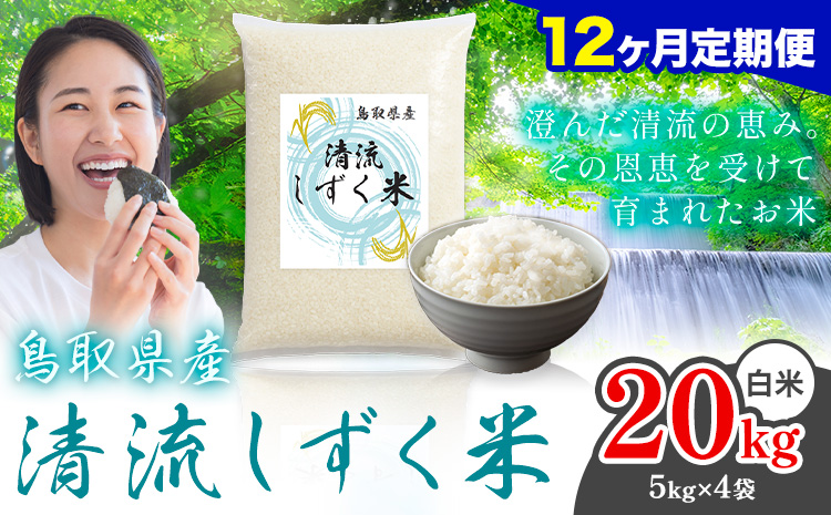【12ヶ月定期便】鳥取 ふるさと 白米 20kg  清流しずく米《お申し込み月の翌月から出荷開始》鳥取県 八頭町 米 お米 ご飯 八頭 ふるさと無洗米 生活応援 ブレンド米 複数原料米 訳あり 小分け kome ご飯