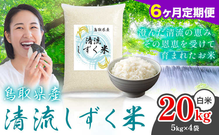 【6ヶ月定期便】鳥取 ふるさと 白米 20kg  清流しずく米《お申し込み月の翌月から出荷開始》鳥取県 八頭町 米 お米 ご飯 八頭 ふるさと無洗米 生活応援 ブレンド米 複数原料米 訳あり 小分け kome ご飯