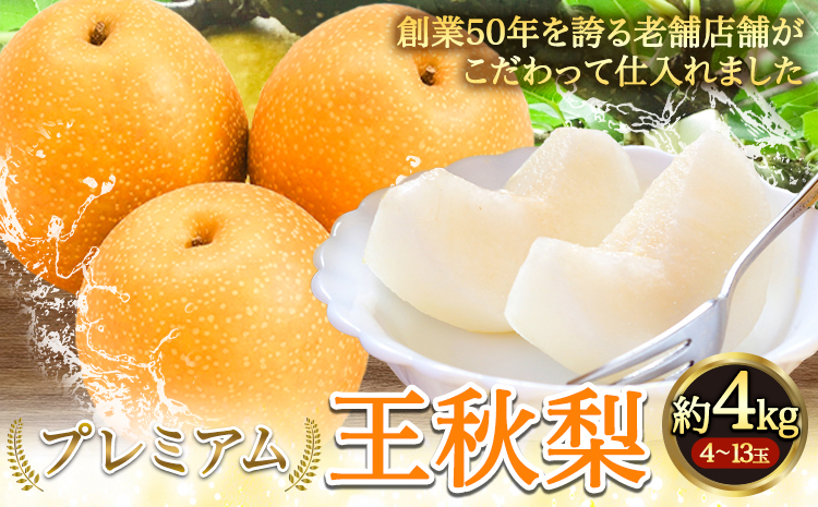 【2025年先行予約】プレミアム 王秋梨 約4kg (4~13玉) 高間商店《2025年10月下旬から2026年1月中旬頃出荷》鳥取県 八頭町 梨なし ナシ 果物 フルーツ 厳選 先行予約 ふるさと納税 返礼品 国産 高間商店 甘い 王秋梨 高糖度