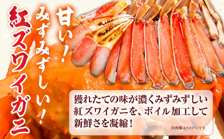 ボイル紅ズワイガニ 300〜390g 5枚  さんチョク《9月中旬から翌7月中旬頃出荷》鳥取県 八頭町 蟹 かに カニ 鍋 紅ズワイガニ ズワイ蟹 ボイル 【配送不可地域あり】