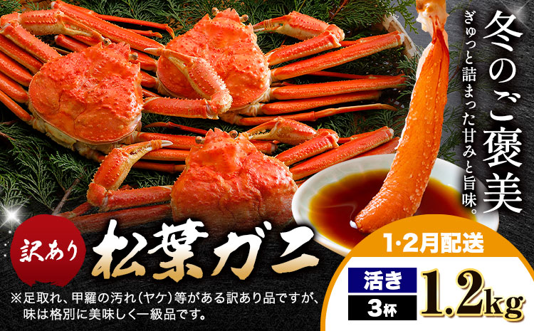 【ふるさと納税】カニ 松葉ガニ 訳あり 400g 活き 3杯《1月・2月発送》 SOO合同会社 鳥取県 八頭町 送料無料  蟹 かに 姿 鍋 ズワイガニ  ズワイ蟹 ボイル 松葉ガニ 訳アリ