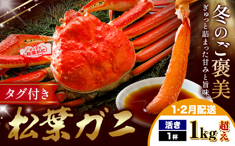 【ふるさと納税】カニ 松葉ガニ 1kg超え 活き 1杯 《1月・2月発送》 SOO合同会社 鳥取県 八頭町 送料無料  蟹 かに 姿 鍋 ズワイガニ  ズワイ蟹 ボイル 松葉ガニ