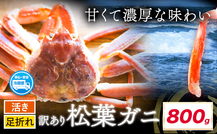 活き 訳あり 松葉ガニ カニ 800g 1杯 さんチョク《11月中旬から4月上旬頃出荷》鳥取県 八頭町 送料無料 蟹 かに 鍋 ズワイガニ ズワイ蟹 生 冷蔵