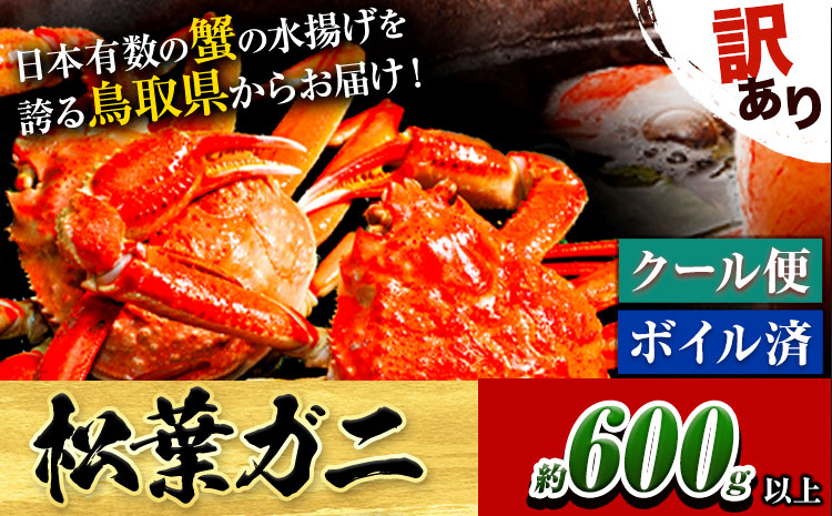 訳あり カニ 松葉ガニ 足1本なし 600g 1杯分《2024年11月上旬-2025年3月中旬頃出荷》鳥取県 八頭町 送料無料 蟹 かに 姿 鍋 ズワイガニ 松葉ガニ ズワイ蟹 ボイル 冷蔵便 松葉蟹 海鮮 魚介 【配送不可地域あり】