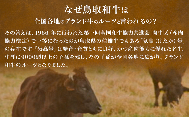 【和牛セレブ】鳥取和牛半頭分 約96.8~100kg 配送回数 24分括 『和牛セレブ｜お肉ギフト専門店』《ご入金を確認してから約1ヶ月後に配送開始》鳥取県 八頭町 和牛 牛 牛肉 国産 黒毛和牛 半頭分 ギフト 和牛セレブ