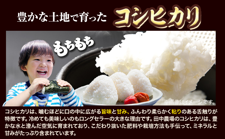 ç¹å¥æ œå¹ç±³ ã³ã·ãã«ãª 10kgïŒ5kgÃ2è¢ïŒæéäŒç€Ÿ ç°äžèŸ²å Žã90æ¥ä»¥å
ã«åºè·äºå®(忥ç¥é€ã)ãé³¥åç å
«é çº ç±³ ãç±³ ã飯 éæç¡æ