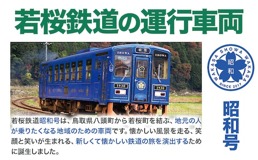 鉄道模型 若桜鉄道WT3000形2両セット 若桜鉄道運行対策室《30日以内に出荷予定(土日祝除く)》鳥取県 八頭町 鉄道 模型