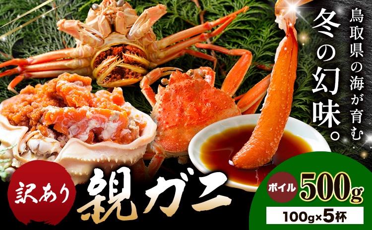 【ふるさと納税】カニ 親ガニ 訳あり 500g ボイル 5杯 《12月上旬-12月末頃出荷》 SOO合同会社 鳥取県 八頭町 送料無料  蟹 かに 姿 鍋  訳アリ
