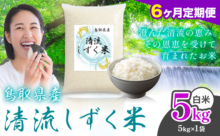 【6ヶ月定期便】鳥取 ふるさと 白米 5kg 清流しずく米《お申し込み月の翌月から出荷開始》鳥取県 八頭町 米 お米 ご飯 八頭 ふるさと無洗米 生活応援 ブレンド米 複数原料米 訳あり 小分け kome ご飯