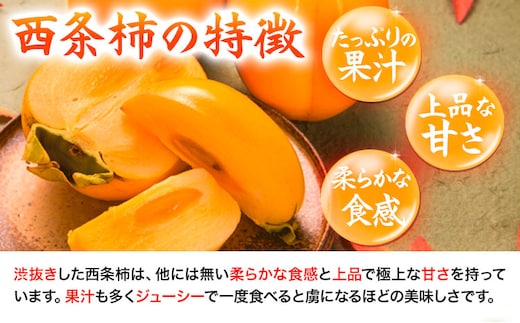 西条柿 2.5kg 個包装 (12玉〜14玉) JA鳥取いなば《10月下旬-11月下旬頃出荷》渋抜き 2L〜3L 柿 かき カキ フルーツ 果物 くだもの 青果物 特秀 鳥取県 八頭町st-p