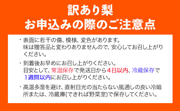 【2026年先行予約】訳あり 新興梨 約4kg (4~16玉) 高間商店《2026年10月上旬-11月下旬頃出荷予定》鳥取県 八頭町 梨 なし ナシ 果物 フルーツ 厳選 訳あり 送料無料 新興梨 甘い 果実 果汁 高間商店st-p