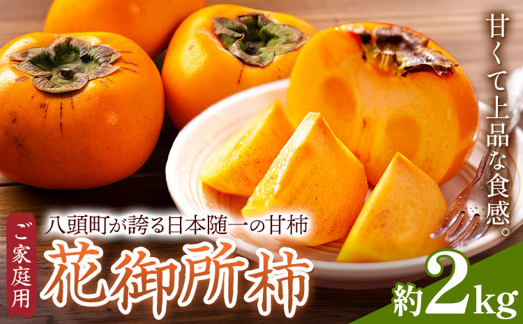 ご家庭用 柿 八頭町が誇る 日本随一の 甘柿 花御所柿 約2kg Tottori食のまごころ農園 《12月上旬-12月下旬頃出荷》鳥取県 八頭町 柿 かき カキ 花御所柿 甘柿 果物 フルーツ 訳あり
