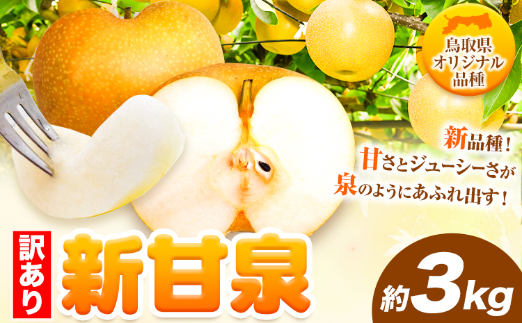 訳あり 新甘泉 約3kg《2026年8月下旬-9月下旬頃出荷》新甘泉 梨 訳あり ご家庭用 鳥取県 八頭町 なし 果物 フルーツ 特産品 送料無料 果汁 デザート 八頭