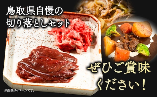 八頭郡産 鹿肉 鳥取和牛 切り落としセット 500g 250g × 2パック やまのおかげ屋《90日以内に出荷予定(土日祝除く)》鳥取県 八頭町 鹿肉 ジビエ 八頭郡産 シカ 鹿 焼肉 和牛 鳥取県産 切落とし