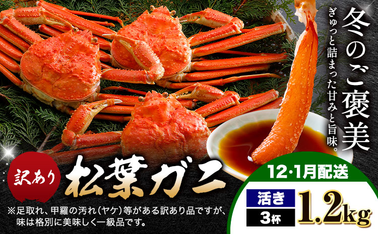 【ふるさと納税】カニ 松葉ガニ 訳あり 400g 活き 3杯《12月・1月発送》 SOO合同会社 鳥取県 八頭町 送料無料  蟹 かに 姿 鍋 ズワイガニ  ズワイ蟹 ボイル 松葉ガニ 訳アリ