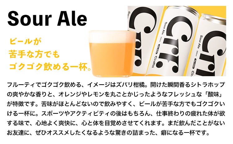 ★Ciraffiti Sour Ale 6本セット 《30日以内に出荷予定(土日祝除く)》鳥取県 八頭町 送料無料 ビール クラフト ローアルコール