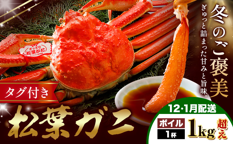 【ふるさと納税】カニ 松葉ガニ 1kg超え ボイル 1杯 《12月・1月発送》 SOO合同会社 鳥取県 八頭町 送料無料  蟹 かに 姿 鍋 ズワイガニ  ズワイ蟹 ボイル 松葉ガニ
