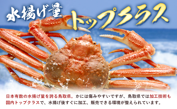 かに 姿 訳あり 紅ズワイガニ 1kg 冷凍《2024年11月上旬-2025年4月中旬頃出荷》お魚センターみくりや 鳥取県 八頭町 蟹 かに カニ 鍋 紅ズワイガニ ズワイ蟹 送料無料