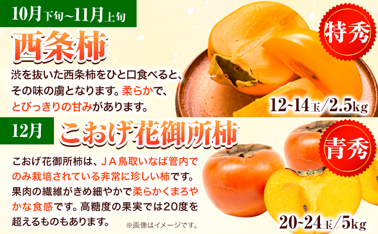 ãå
è¡äºçŽããå
š3åå®æäŸ¿ãå
«é ã®æ¿ã¹ãã·ã£ã«ã³ãŒã¹ èµ€ç§ éç§ ç¹ç§ ã2026幎10æäžæ¬-12æäžæ¬é åºè·ãJAé³¥åããªã° é³¥åç å
«é çº æ¿ ãã æç© ãã«ãŒã å®æäŸ¿ é åžäŒ èŒå€ªéæ¿ è¥¿æ¡æ¿ ãããè±åŸ¡ææ¿